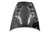 IMAGE 1 - 2000-2009 Honda S2000 Techno R Style Carbon Fiber Hood by ViS Racing - 00HDS2K2DTNR-010C