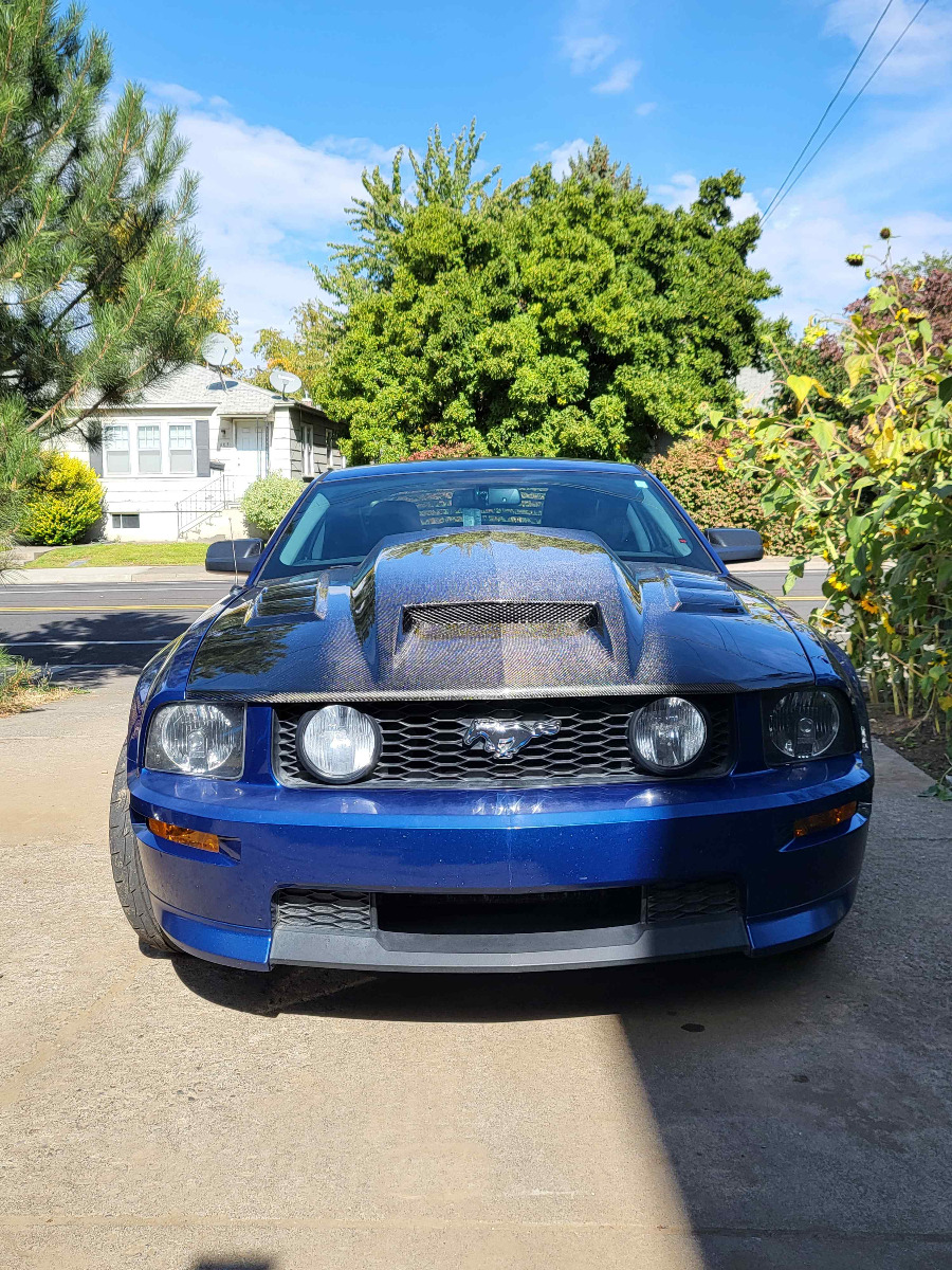 IMAGE 3 - 2005-2009 Ford Mustang Terminator Style Carbon Fiber Hood by ViS Racing - 05FDMUS2DTM-010C