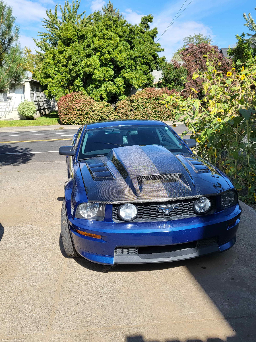 IMAGE 5 - 2005-2009 Ford Mustang Terminator Style Carbon Fiber Hood by ViS Racing - 05FDMUS2DTM-010C