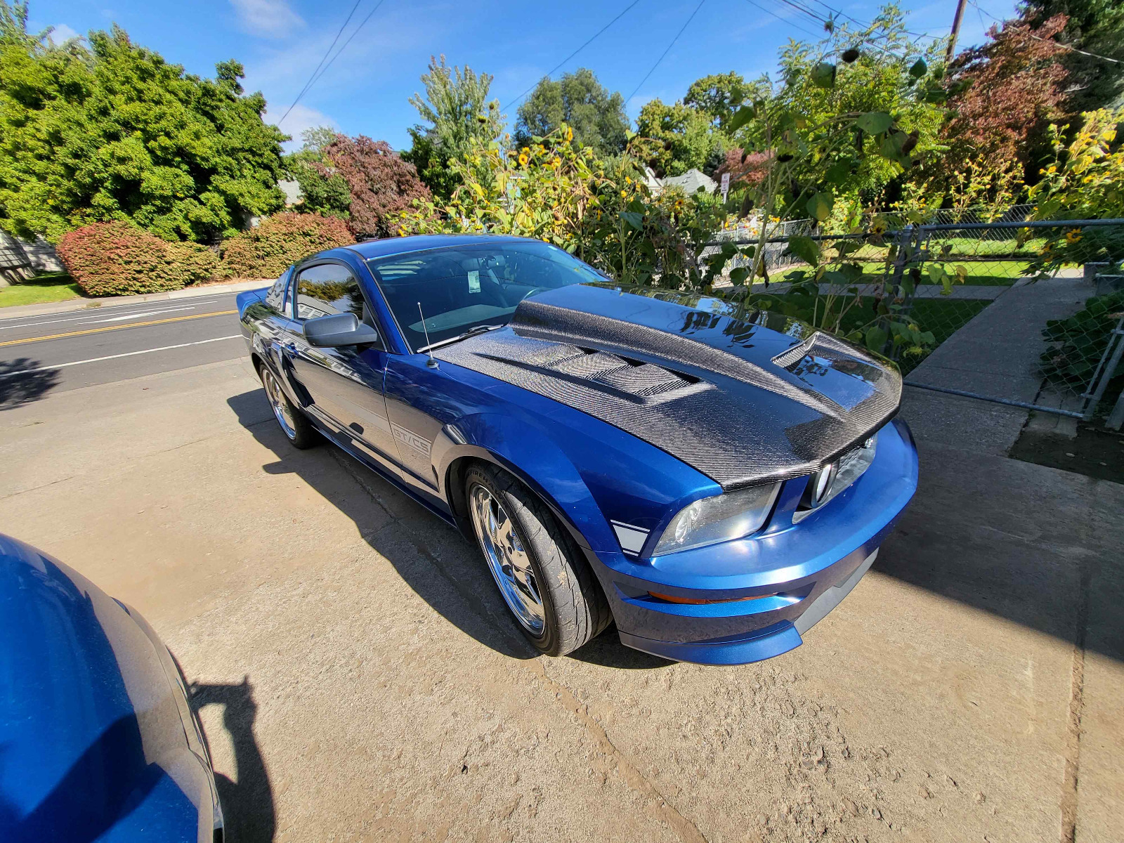 IMAGE 8 - 2005-2009 Ford Mustang Terminator Style Carbon Fiber Hood by ViS Racing - 05FDMUS2DTM-010C
