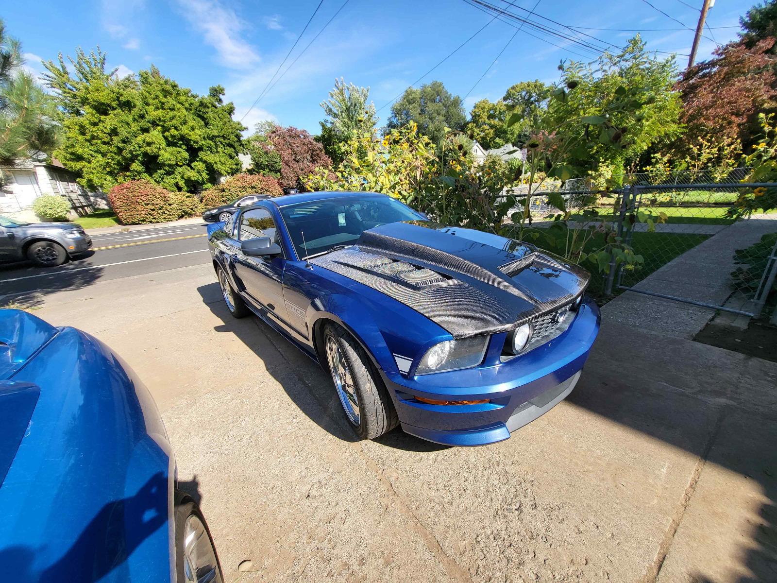 IMAGE 9 - 2005-2009 Ford Mustang Terminator Style Carbon Fiber Hood by ViS Racing - 05FDMUS2DTM-010C