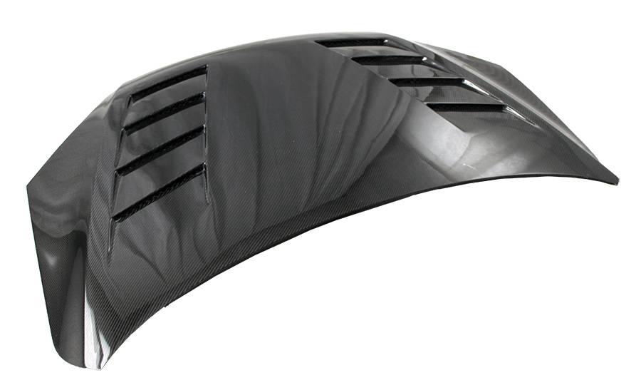 IMAGE 3 - 2000-2004 Ford Focus 2DR/4DR/HB Terminator Style Carbon Fiber Hood by ViS Racing - 00FDFOC2DTM-010C