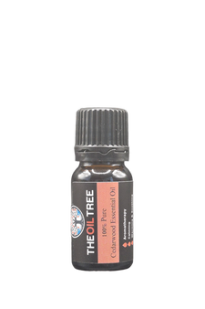 Cedarwood Himalayan Essential Oil