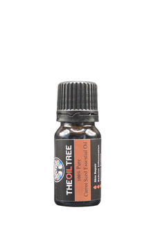 Carrot Seed Essential Oil Carrot Seed Essential Oil