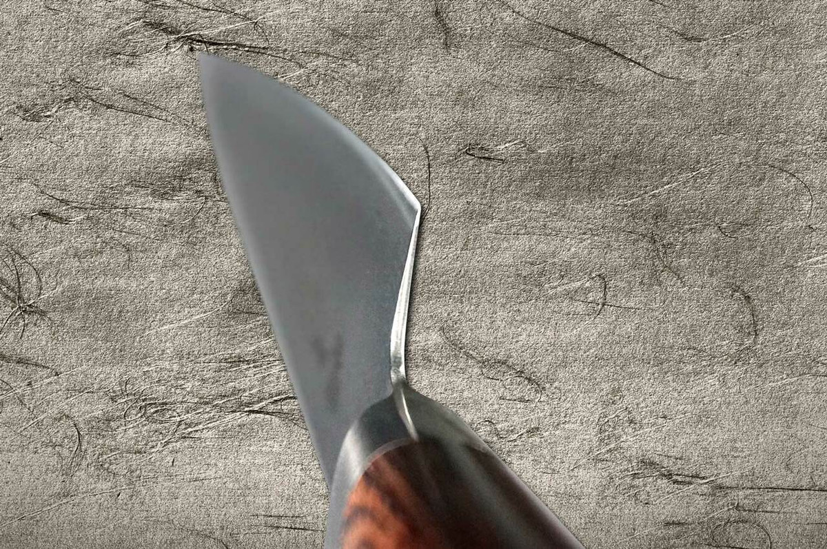 Tamahagane Kyoto 63 Layer-Damascus Wood Handle Japanese Chefs SlicerSujihiki 270mm