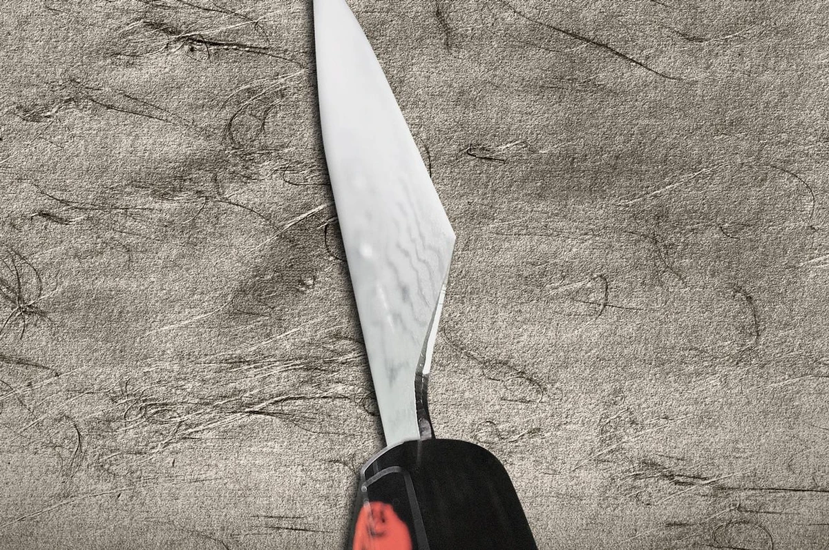 Shigeki Tanaka Aogami Nr.2 Damast EB Japanisches Koch-Pettymesser (Universalmesser) 150mm mit Ebenholzgriff