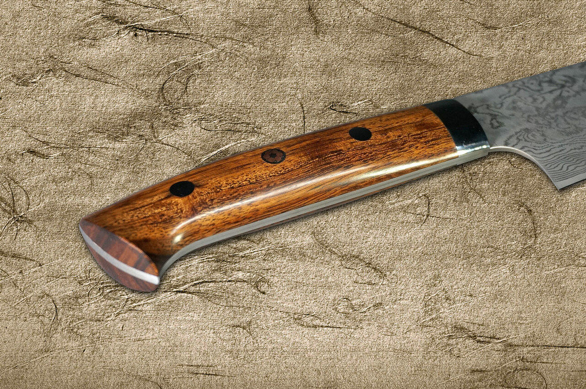 Takeshi Saji R2SG2 Black Damascus IR Japanese Chefs Gyuto Knife 240mm with Desert Ironwood Handle