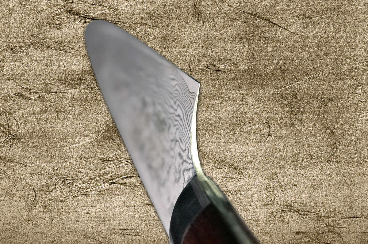 Takeshi Saji R2SG2 Black Damascus IR Japanese Chefs Gyuto Knife 180mm with Desert Ironwood Handle