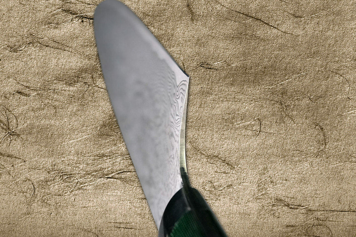 Takeshi Saji R2SG2 Black Damascus MCF Japanese Chefs Gyuto Knife 270mm with Dark-Green Micarta Handle