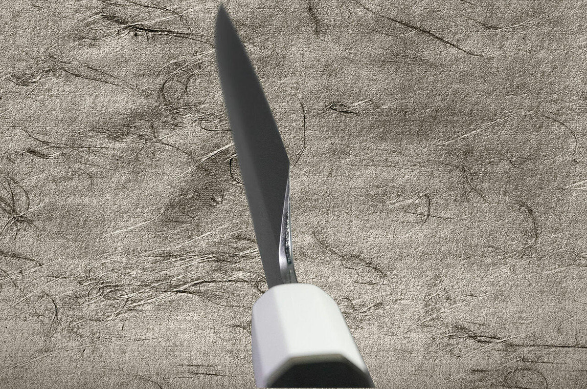 Sakai Takayuki Mirrored Honyaki Water-Quenched Kiritsuke-YanagibaSashimi 300mm SHINUCHI with Saya Sheath