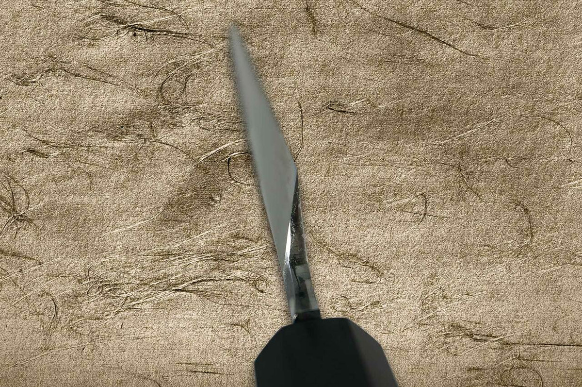 Sakai Takayuki Aoniko Blue 2 Steel Ebony Handle Japanese Chefs YanagibaSashimi 270mm