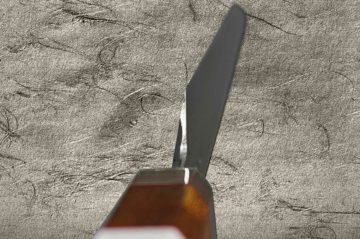 Sakai Takayuki Shiden Ginsan Gingami No.3 Steel Japanese Chefs YanagibaSashimi 300mm