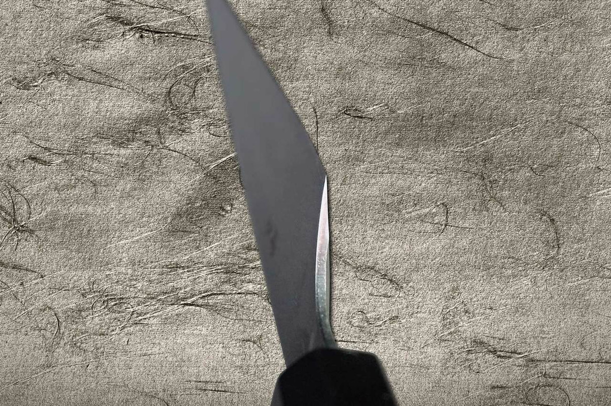 Left Handed Sakai Takayuki Seiryu Damascus Aogami 2 steel Japanese Chefs Kengata-YanagibaSashimi 270mm with Saya Sheath