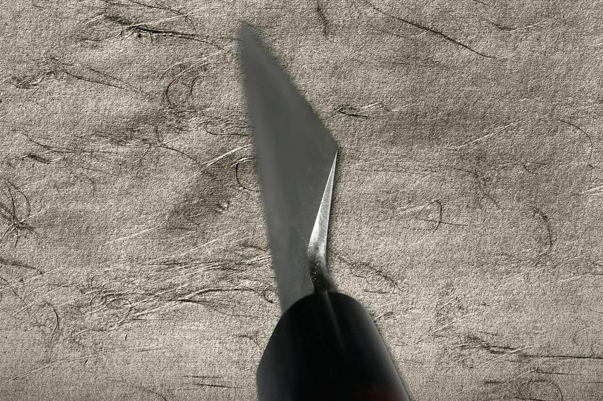 Takayuki Iwai Aogami No.2 Kurouchi RS Japanese Chefs Kiritsuke-YanagibaSashimi 300mm