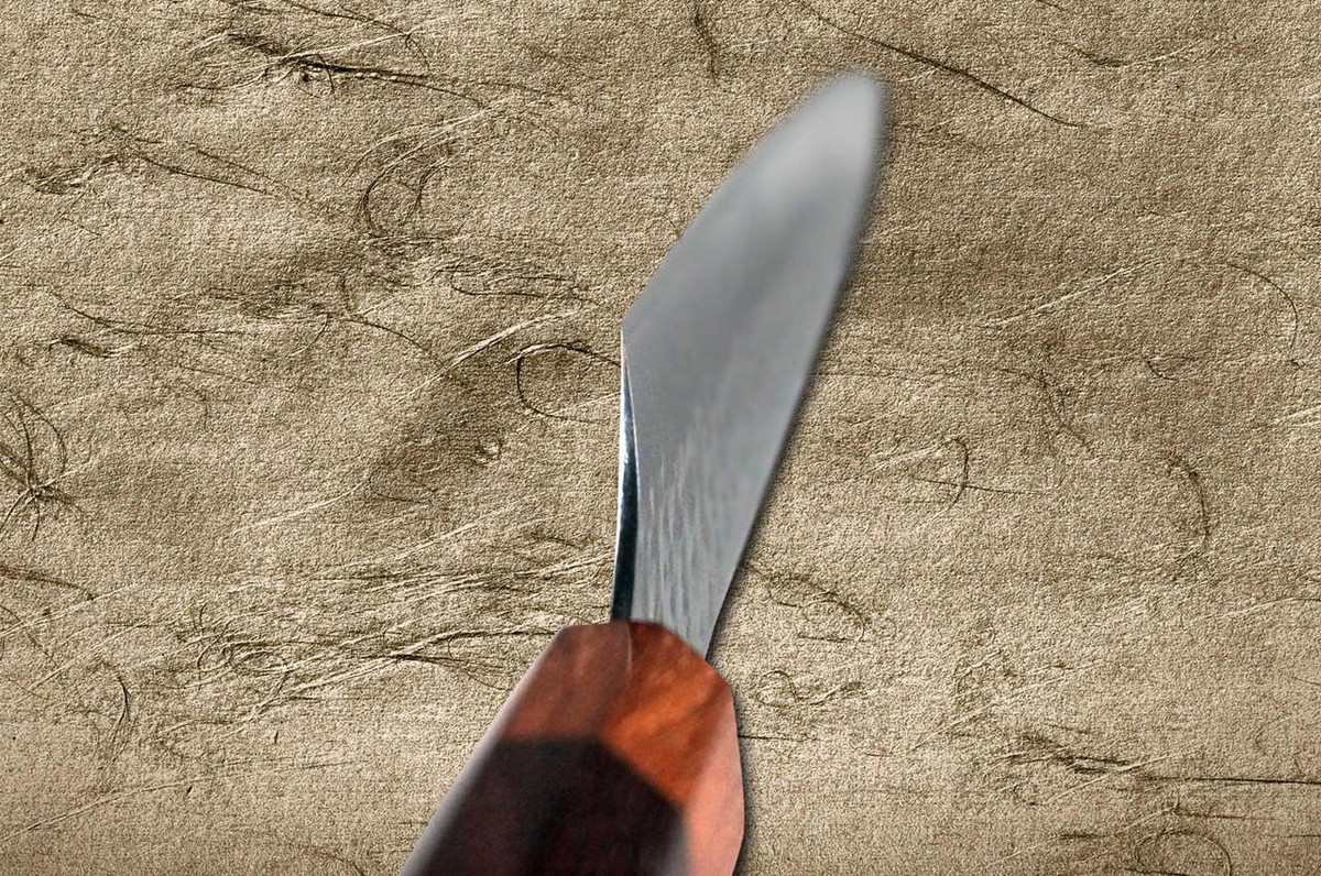 Yu Kurosaki R2SG2 Hammered SENKO-EI WA RS8H Japanese Chefs SlicerSujihiki 240mm with Brown-Ring Octagonal Handle