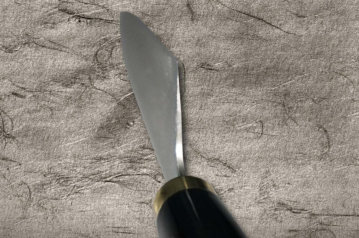 Takeshi Saji Makie-Art R2(SG2) Mirrored Damascus Japanese Chef's Gyuto Knife 240mm with Urushi Lacquered Saya and Handle FUJI on LAKE(PN) 