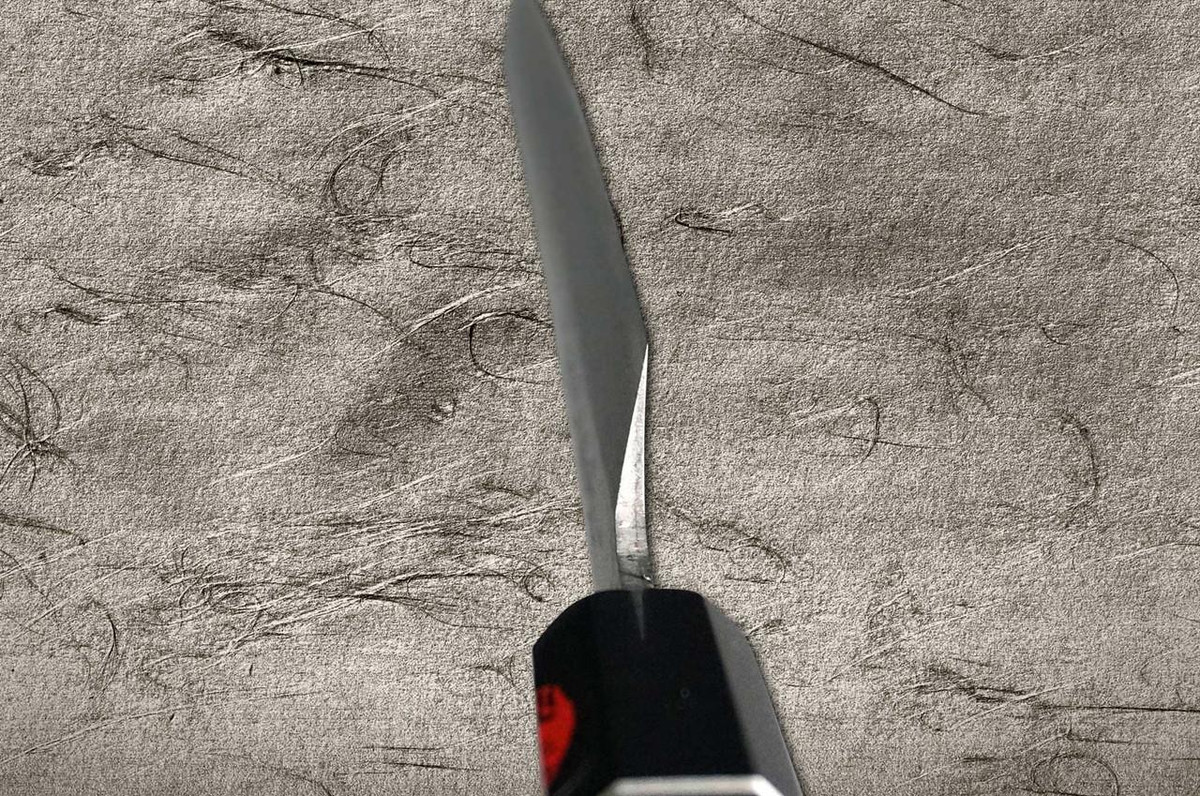 Shigeki Tanaka VG10 Damascus SENKO Japanese EB Chef's Yanagiba(Sashimi) 270mm with Ebony Handle 