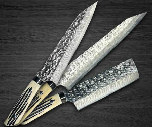 img Takeshi Saji SRS13 Mirror Hammered Damascus DHW