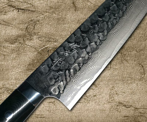 main Takeshi Saji VG10 Mirror Hammered Damascus MCB