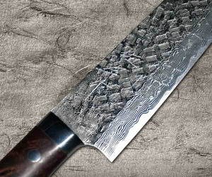 main Takeshi Saji VG10 Mirrored Damascus Hammered IR