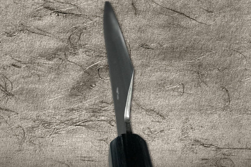 Takayuki Iwai Aogami No.2 Damascus FUMON RS Japanese Chef's Gyuto Knife 165mm 