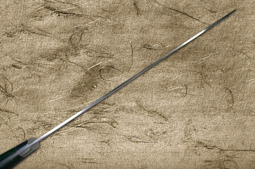 Takeshi Saji R2SG2 Black Damascus MCF Japanese Chefs Gyuto Knife 270mm with Dark-Green Micarta Handle