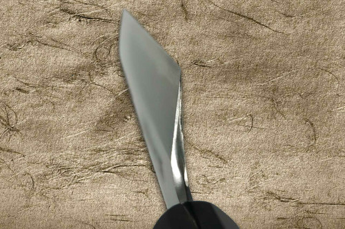 Sakai Takayuki Aoniko Blue 2 Steel Ebony Handle Japanese Chefs Kamagata-UsubaVegetable 180mm