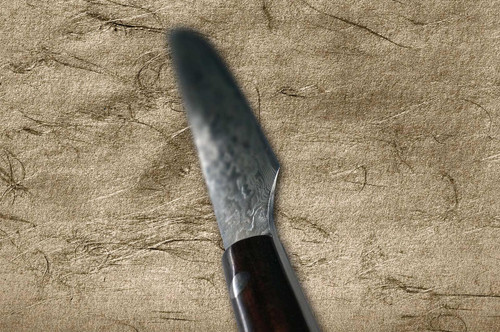 Takeshi Saji R2 Diamond Finish Damascus IRN Japanese Chef's Steak Knife and Fork SET with Desert Ironwood Handle 