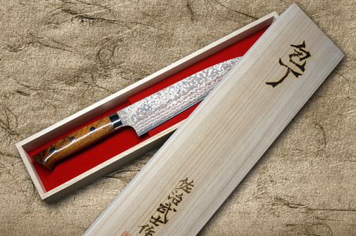 Takeshi Saji VG10W Colored Damascus Nashiji IRN Japanese Chef's Gyuto Knife 240mm with Desert Ironwood Handle 
