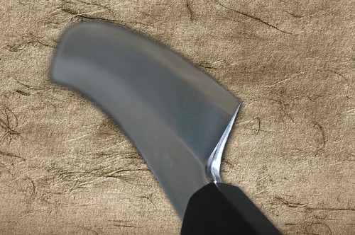 Sakai Takayuki ONIZORI Ginsan Japanese Chef's Mirrored Sakimaru-Takohiki(Sashimi) 360mm with Double Water Buffalo Ring Ebony Handle [Strongly Arched Version] 