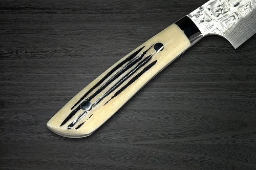 Takeshi Saji SRS13 Mirror Hammered Damascus DHW Japanese Chef's
