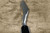 Sakai Takayuki White Steel Kurouchi Gold-Engraving Art Japanese Chef's Deba Knife 180mm with Ebony Handle [Goju-no-Tou (Five-Story Pagoda)] 