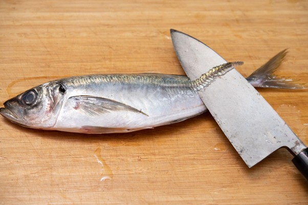 Top 5 Recommended Deba Knives and Tips for Choosing Without Regret