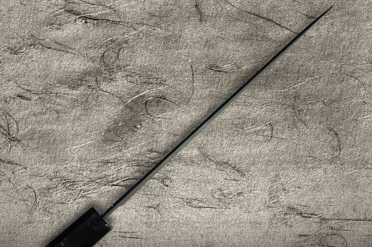 Sakai Takayuki Non-Stick Coating VG10 Hammered WA KUROKAGE Japanese Chefs Gyuto Knife 210mm with Wenge Handle