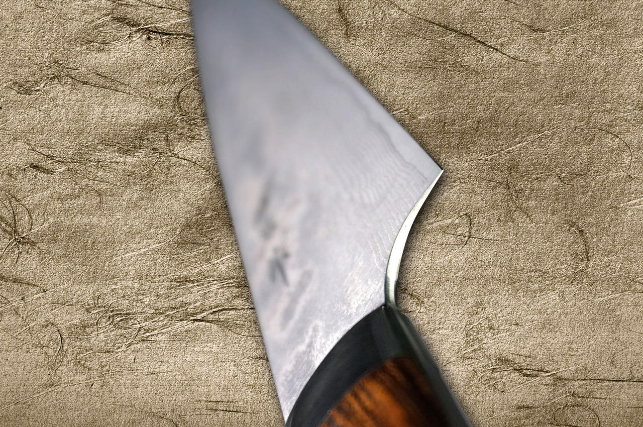 Takeshi Saji VG10 Black Damascus IR Japanese Chef's Slicer