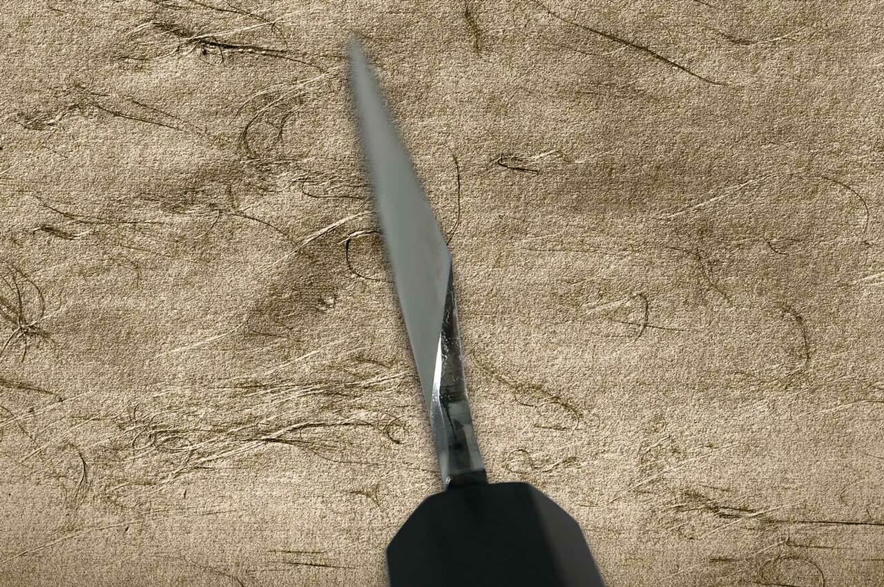 Sakai Takayuki Aoniko Blue 2 Steel Ebony Handle Japanese Chefs YanagibaSashimi 330mm