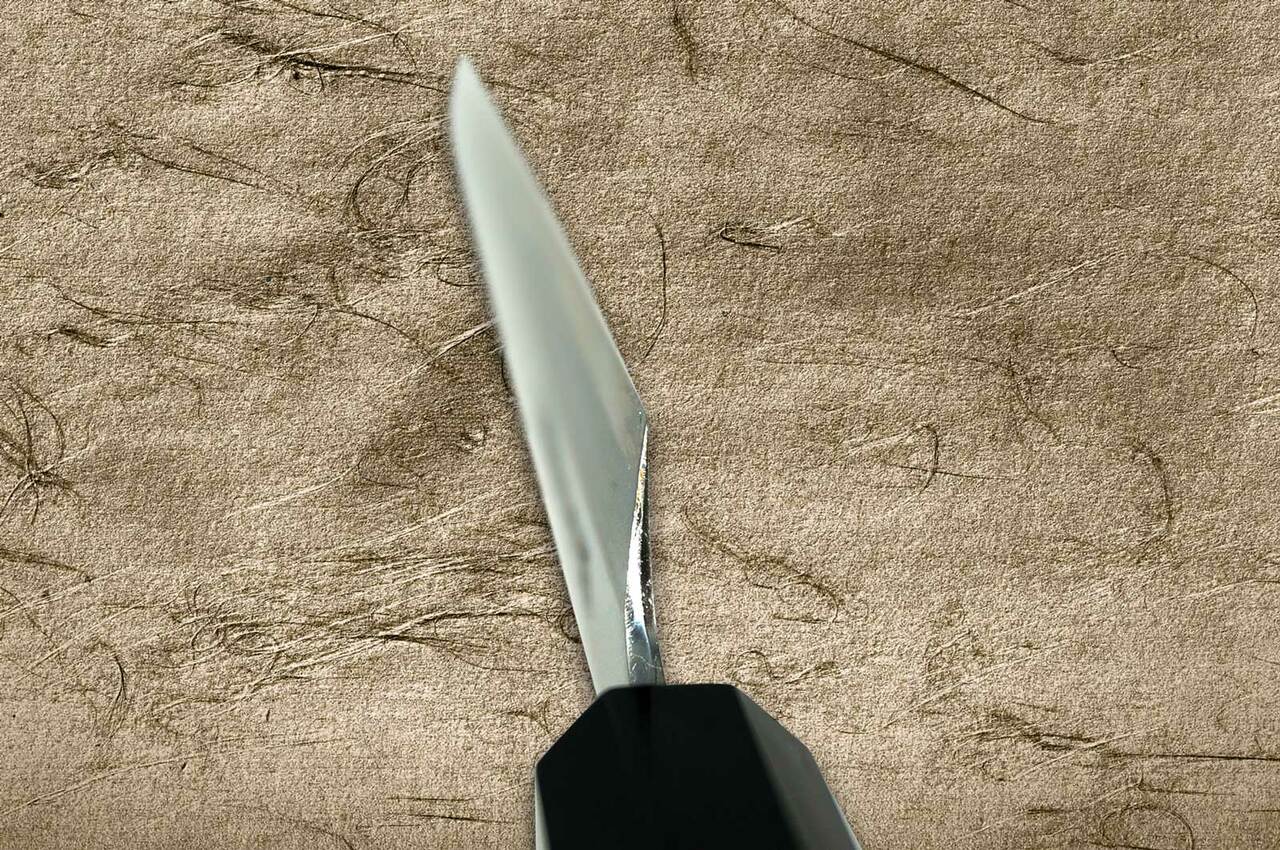 Sakai Takayuki Aoniko Blue 2 Steel Ebony Handle Japanese Chefs FuguhikiSashimi 240mm