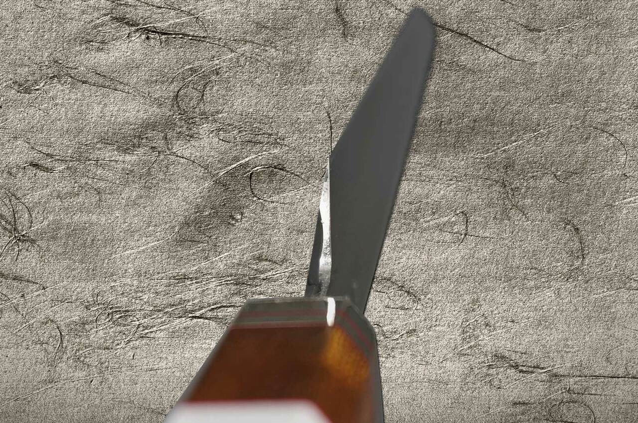 Sakai Takayuki Shiden Ginsan (Gingami No.3 Steel) Japanese