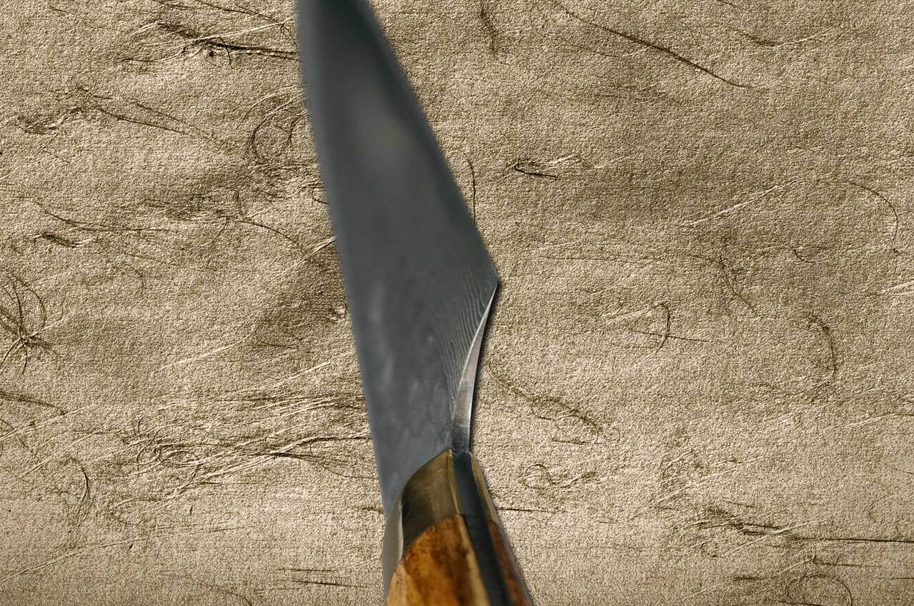 Takeshi Saji VG10 Mirror Hammered Damascus DHM Japanese Chefs Gyuto Knife 210mm with Brown Antler Handle