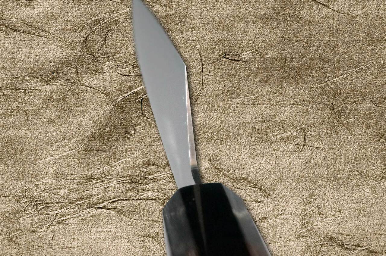 Sakai Takayuki GINGA ZA-18 69-Layer Damascus Japanese Chef's