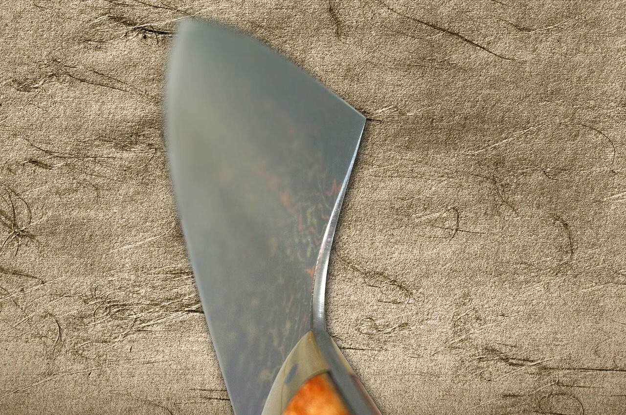 Takeshi Saji VG-10 Custom Damascus Wild Series Gyuto (180mm to 270mm, 4  sizes, Stag Bone Handle)