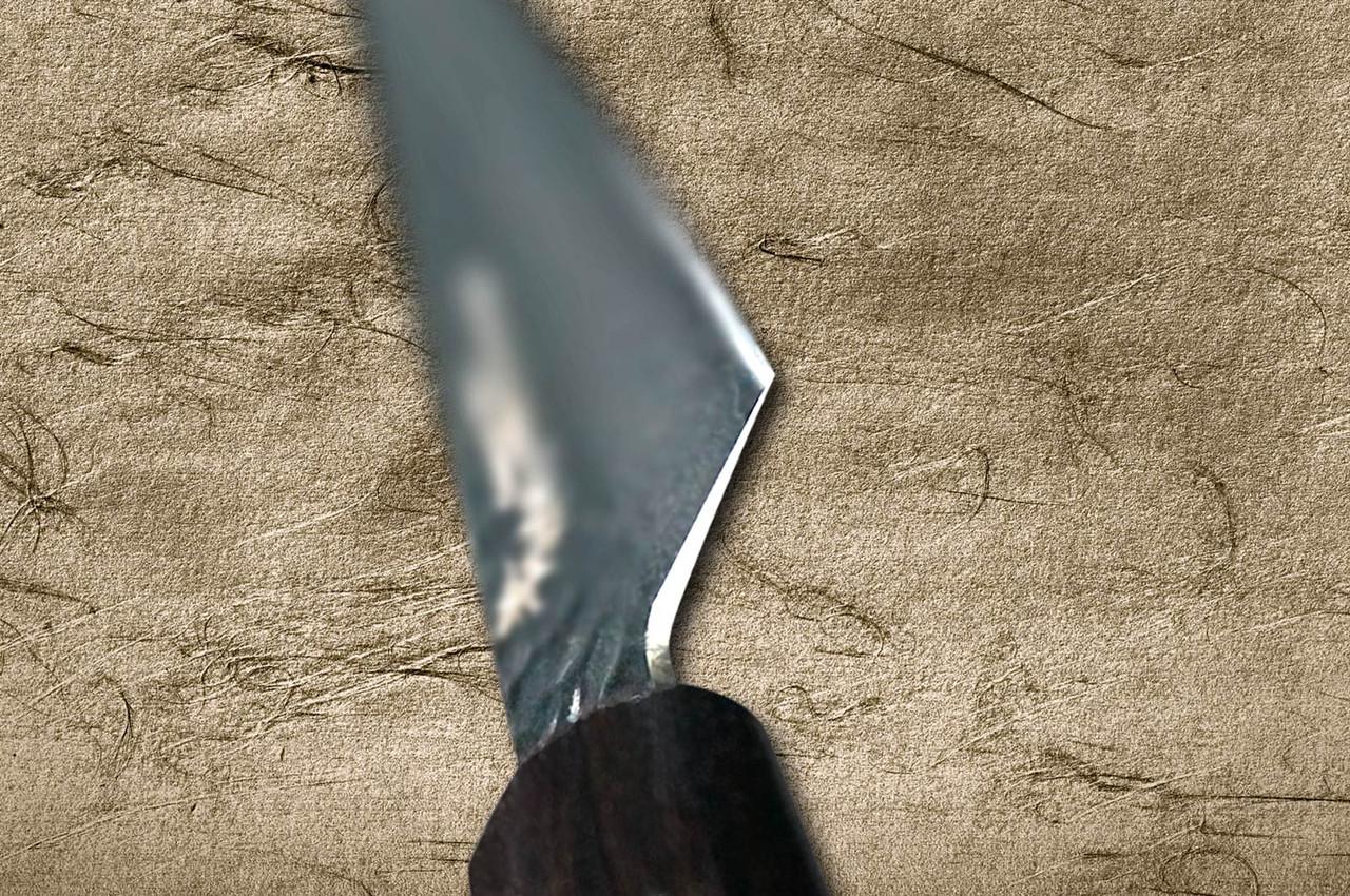 Sakai Takayuki 33-Layer VG10 Damascus Ebony Chef's Slicer