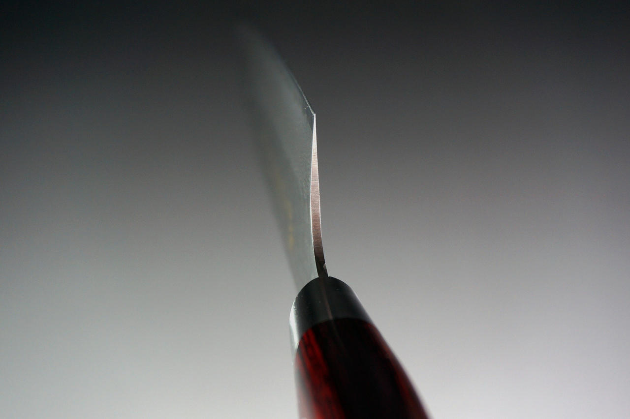 Sakai Takayuki 33-Layer VG10 Damascus Hammered Japanese Chefs Santoku Knife 180mm