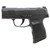 Sig Sauer P365 9MM Sub-Compact - Black