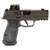 Sig Sauer P365 9MM Sub-Compact - Cerakote Gray