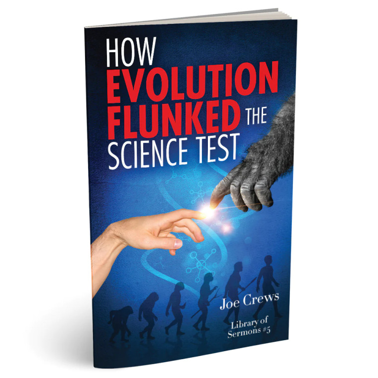 A short debate between the theory of Creation vs Evolution