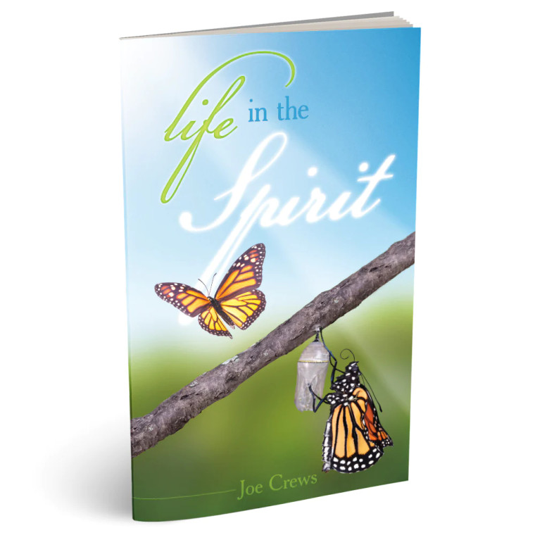A compelling explanation of how the power of the Holy Spirit can help us achieve victory.