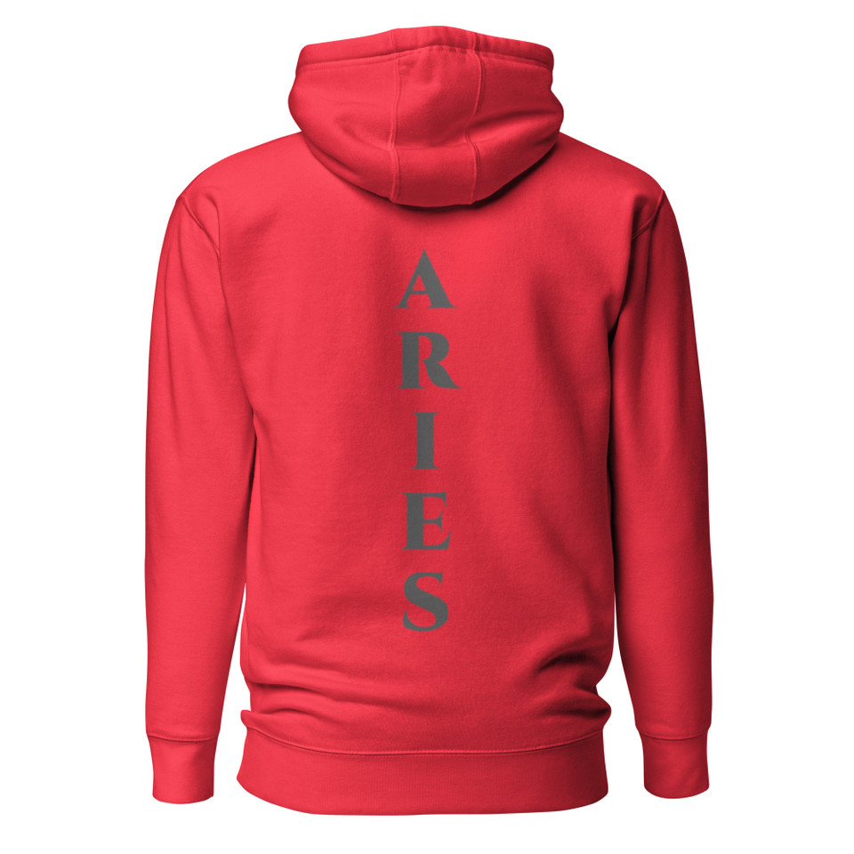 Aries Fire Element hoodie by Anuri with embroidered chest glyph and tonal back design in premium fleece