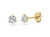 Round Three Prong Martini Stud Earrings