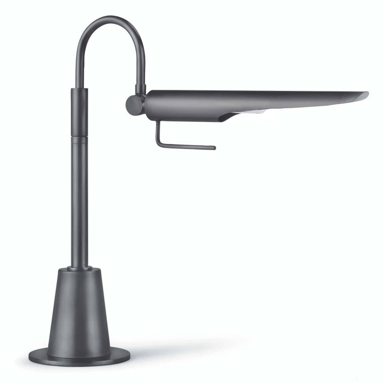 Regina Andrew Raven Task Lamp (Oil Rubbed Bronze) 13-1225ORB